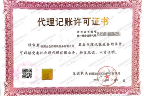 如何选择拉萨的工商代理注册公司机构、代理记账机构？