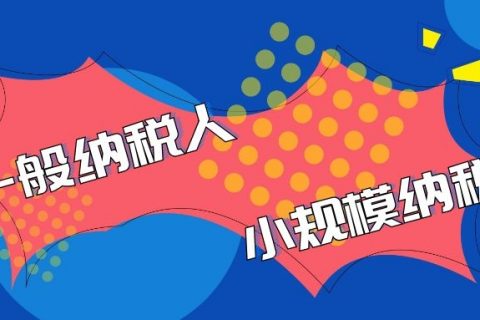 拉萨的一般纳税人企业代理记账与小规模企业代理记账有什么区别？