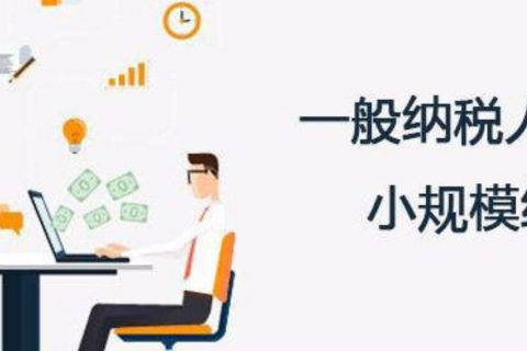 拉萨的一般纳税人和小规模纳税人纳税方式以及认定资格是什么？同内地企业有区别吗？