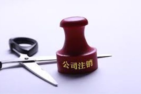 拉萨注销一个公司，需要去几个部门？整体时间需要多久？大概流程是怎样的？