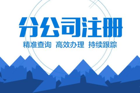 在拉萨设立分公司的流程、所需材料、办理时间