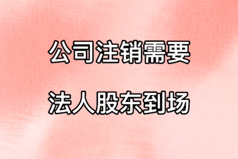 拉萨公司注销，需要法人、股东到场吗？