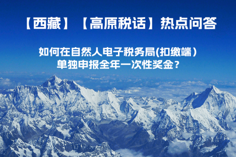 西藏自治区如何在自然人电子税务局(扣缴端）单独申报全年一次性奖金？