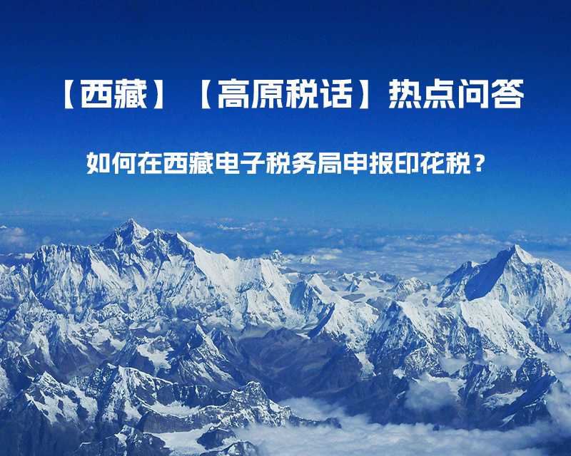 如何在西藏自治区电子税务局申报印花税？