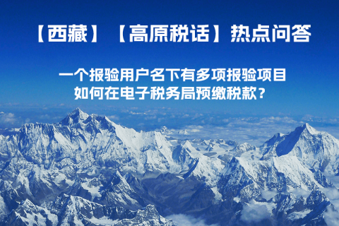 一个报验用户名下有多项报验项目，如何在电子税务局预缴税款？