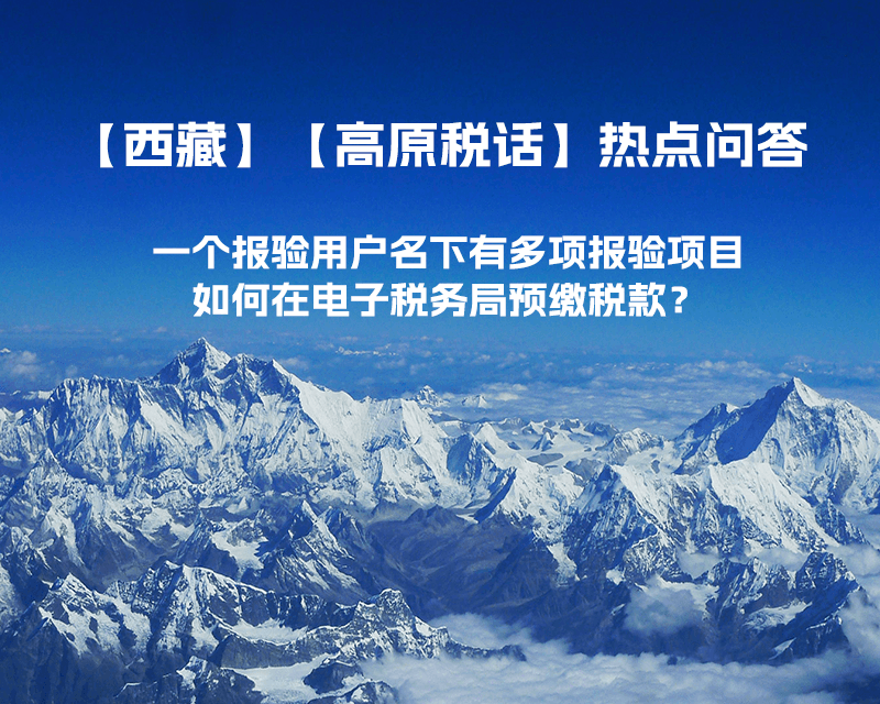 一个报验用户名下有多项报验项目，如何在电子税务局预缴税款？