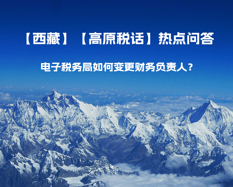 电子税务局如何变更财务负责人？