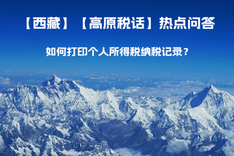 如何打印个人所得税纳税记录？