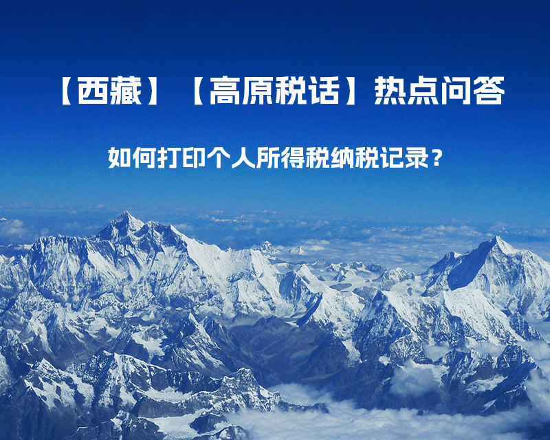 如何打印个人所得税纳税记录？