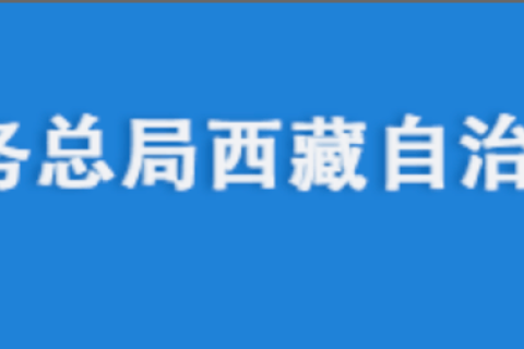 电脑更换后，自然人电子税务局扣缴端申报收入额如何进行累计？