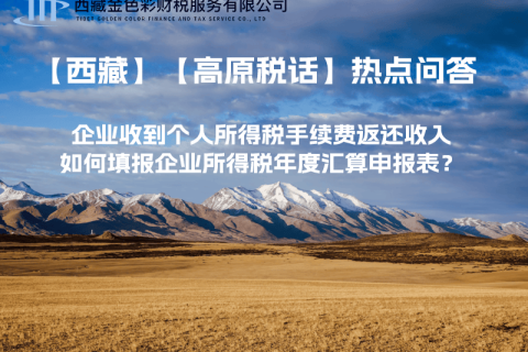 企业收到个人所得税手续费返还收入，如何填报企业所得税年度汇算申报表？