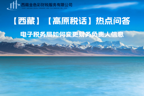 西藏电子税务局如何变更财务负责人信息？