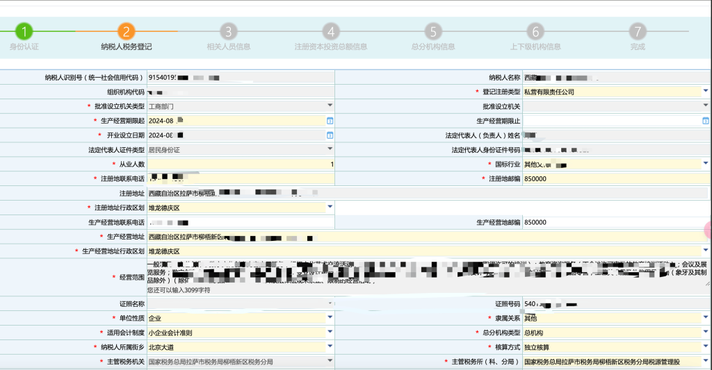 拉萨公司税务登记全攻略