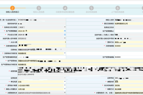 拉萨公司税务登记全攻略